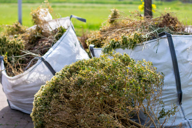 Best Household Junk Removal  in Chesaning, MI